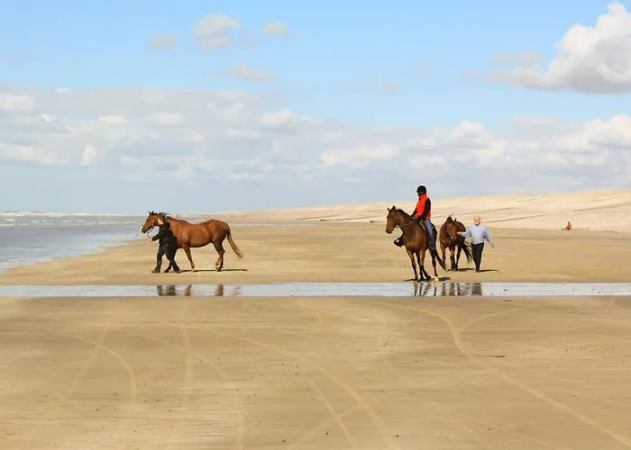 Tchio Batteux Les De Sery